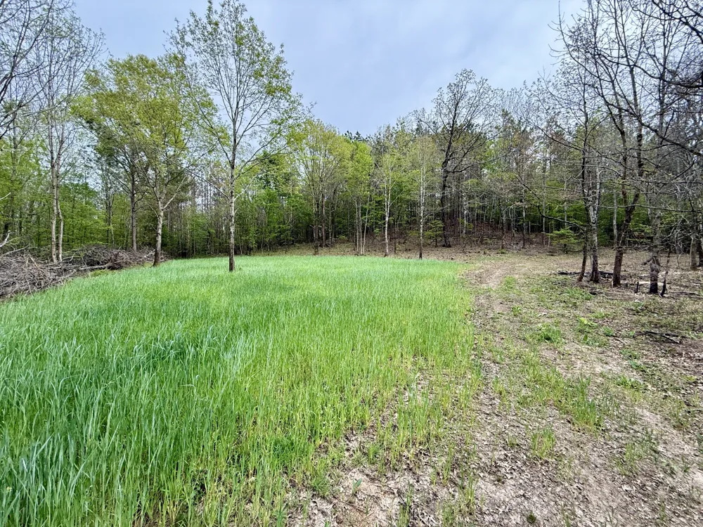 4424 Lane Spring Rd Cherokee, AL 35616