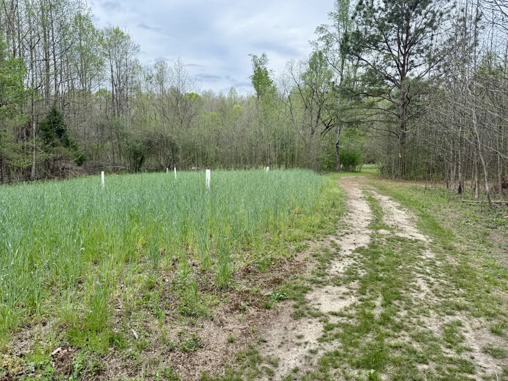 4424 Lane Spring Rd Cherokee, AL 35616