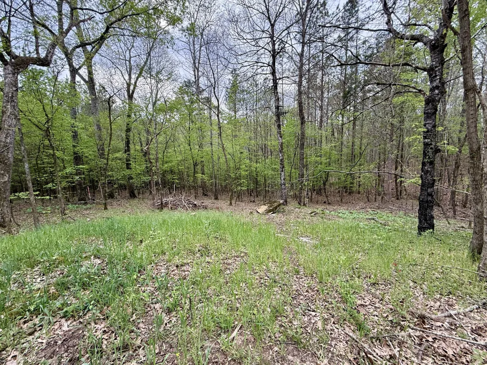 4424 Lane Spring Rd Cherokee, AL 35616