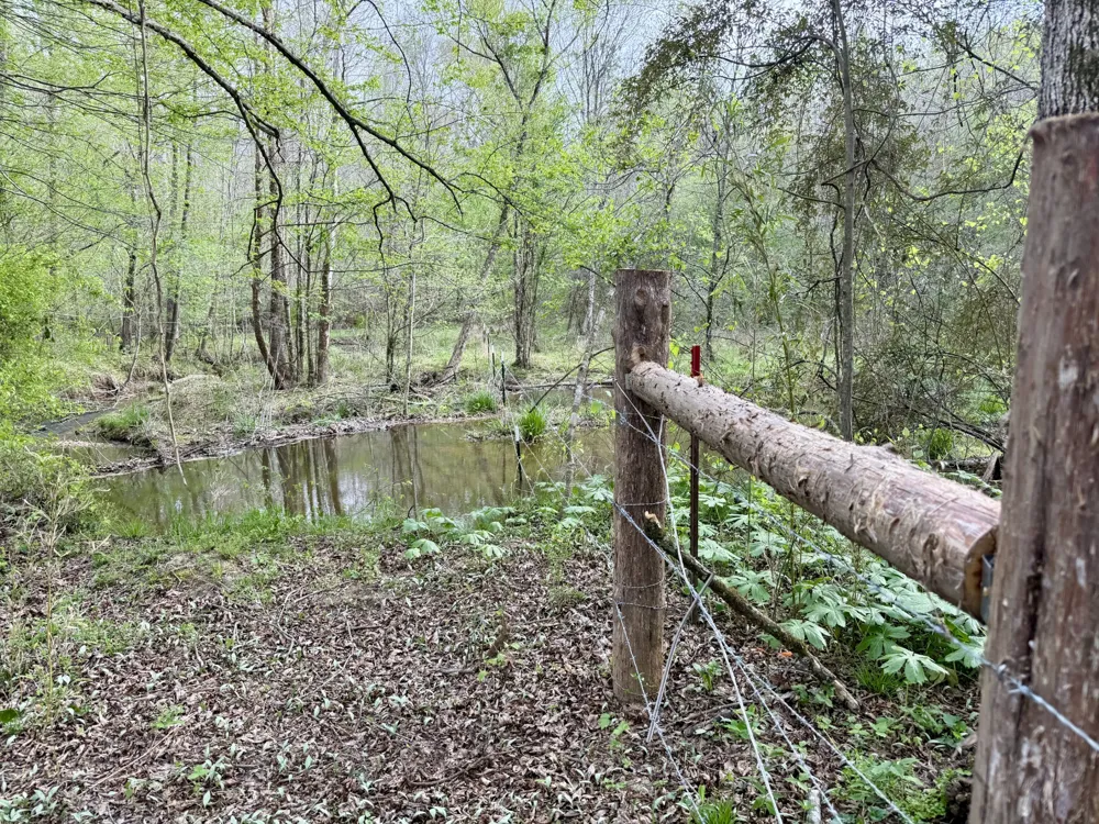 4424 Lane Spring Rd Cherokee, AL 35616