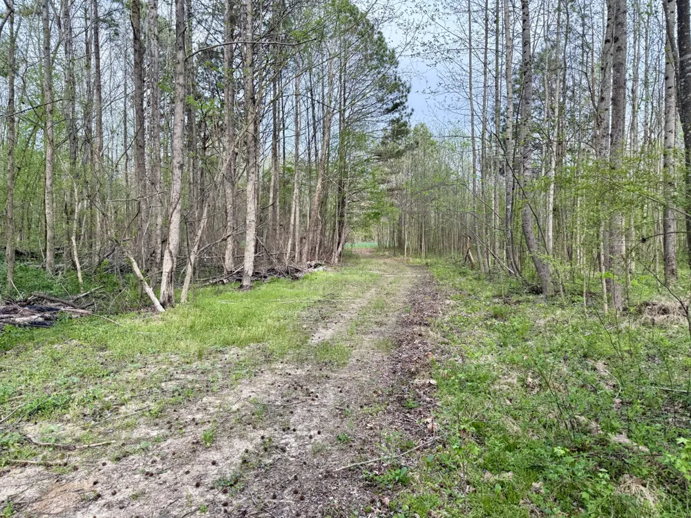 4424 Lane Spring Rd Cherokee, AL 35616