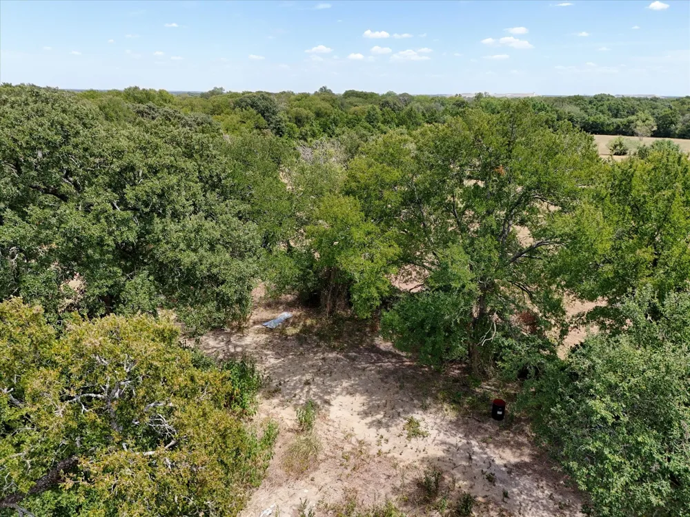Williams Road Bellmead, TX 76705