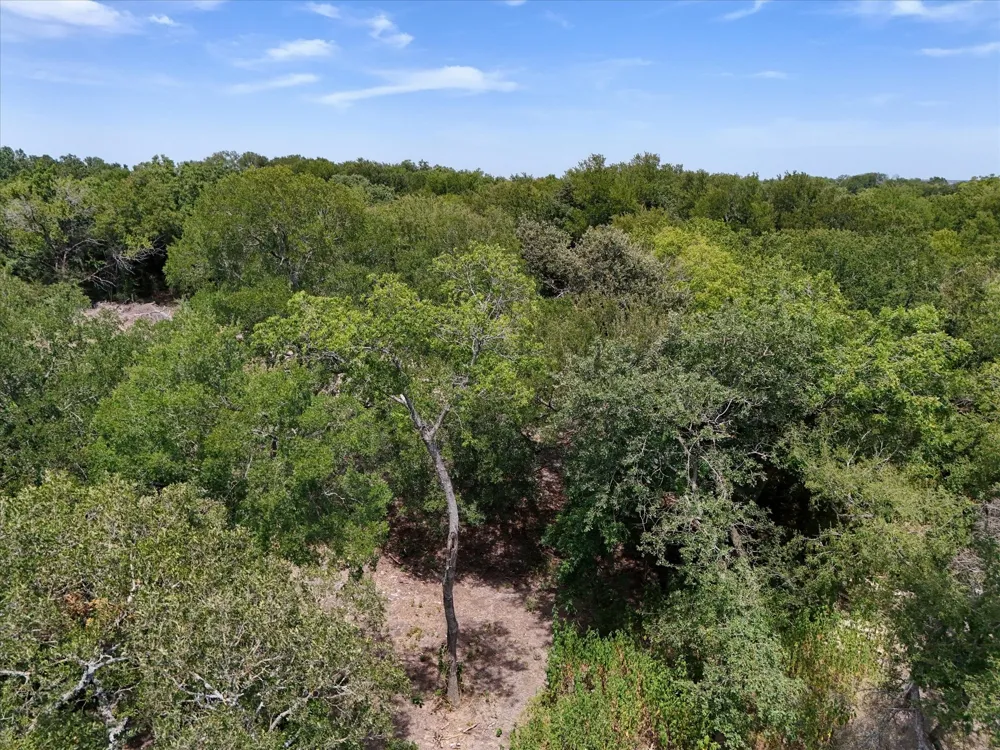 Williams Road Bellmead, TX 76705