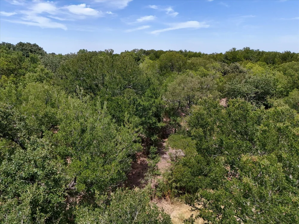 Williams Road Bellmead, TX 76705