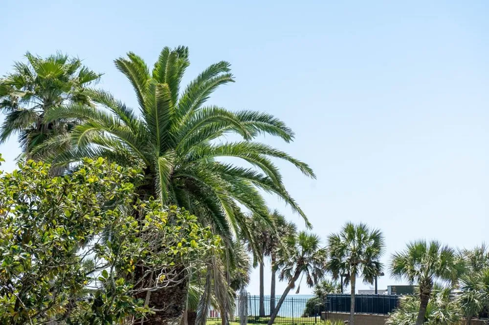 9520 Seawall Boulevard #143 Galveston, TX 77554