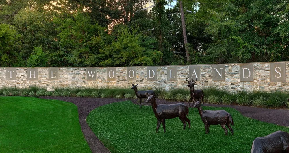 26 Southfork Pines Place The Woodlands, TX 77381
