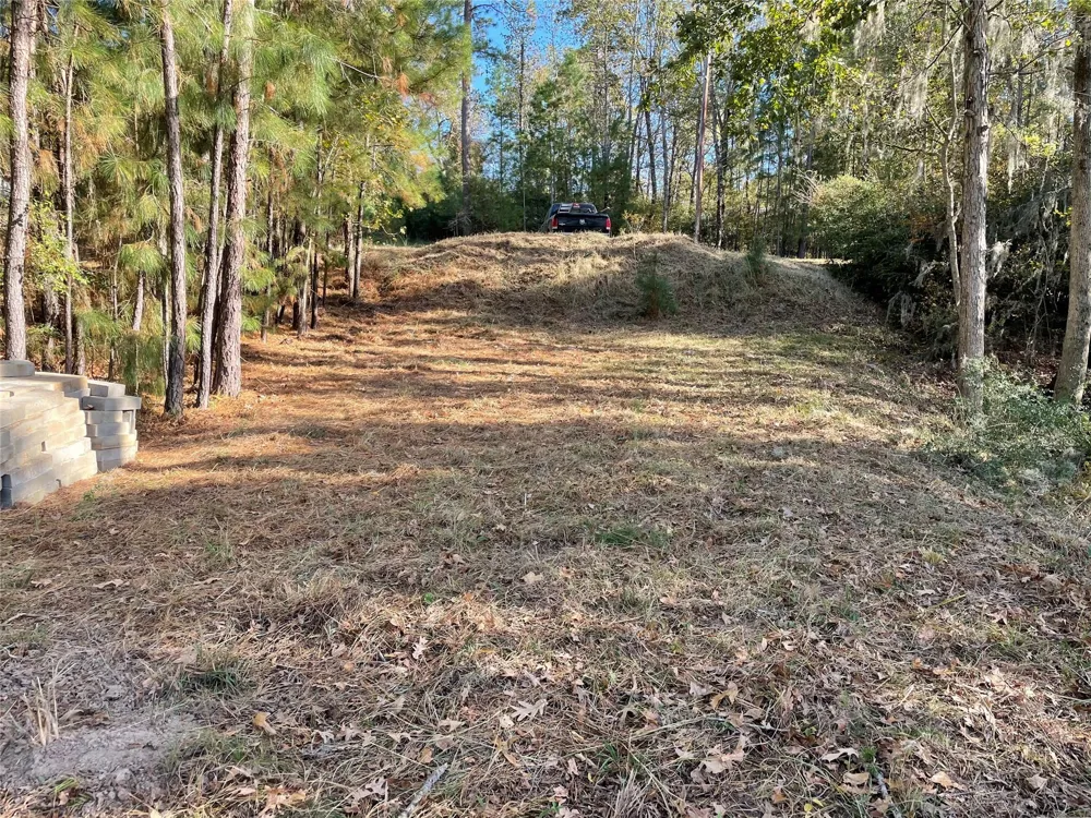Ridgewood Trail Trinity, TX 75862