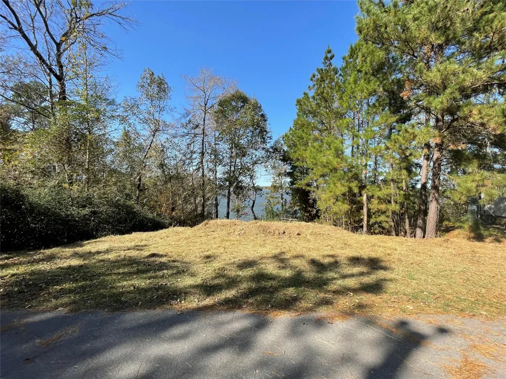 Ridgewood Trail Trinity, TX 75862