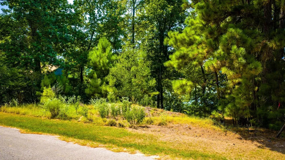 Ridgewood Trail Trinity, TX 75862