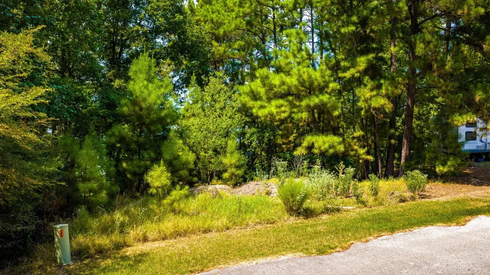 Ridgewood Trail Trinity, TX 75862