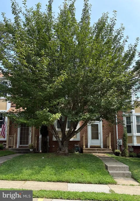 3010 BRANCH LANE