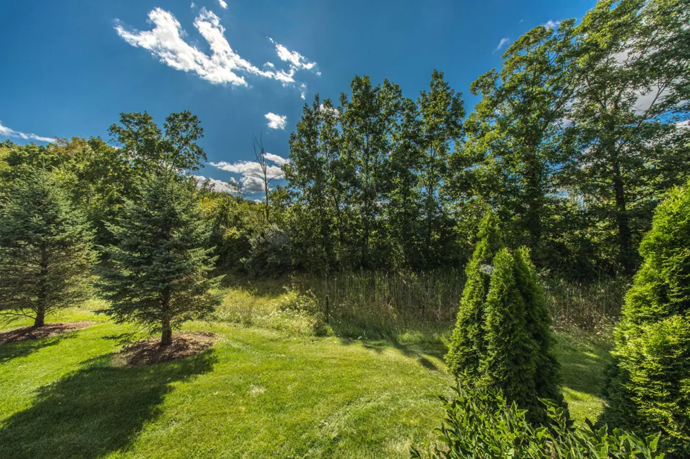 5782 Whispering Springs Drive Ann Arbor, MI 48108
