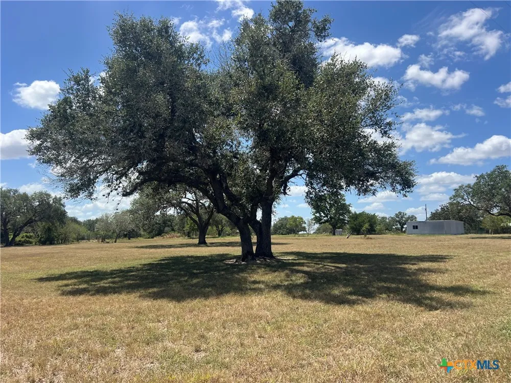 527 Moritz Road Meyersville, TX 77974