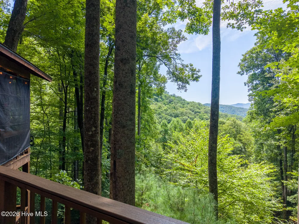 204 Mountain Laurel Drive Bryson City, NC 28713