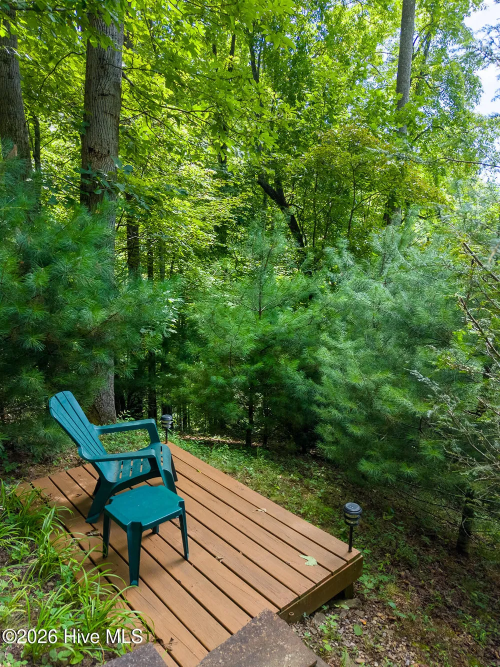 204 Mountain Laurel Drive Bryson City, NC 28713