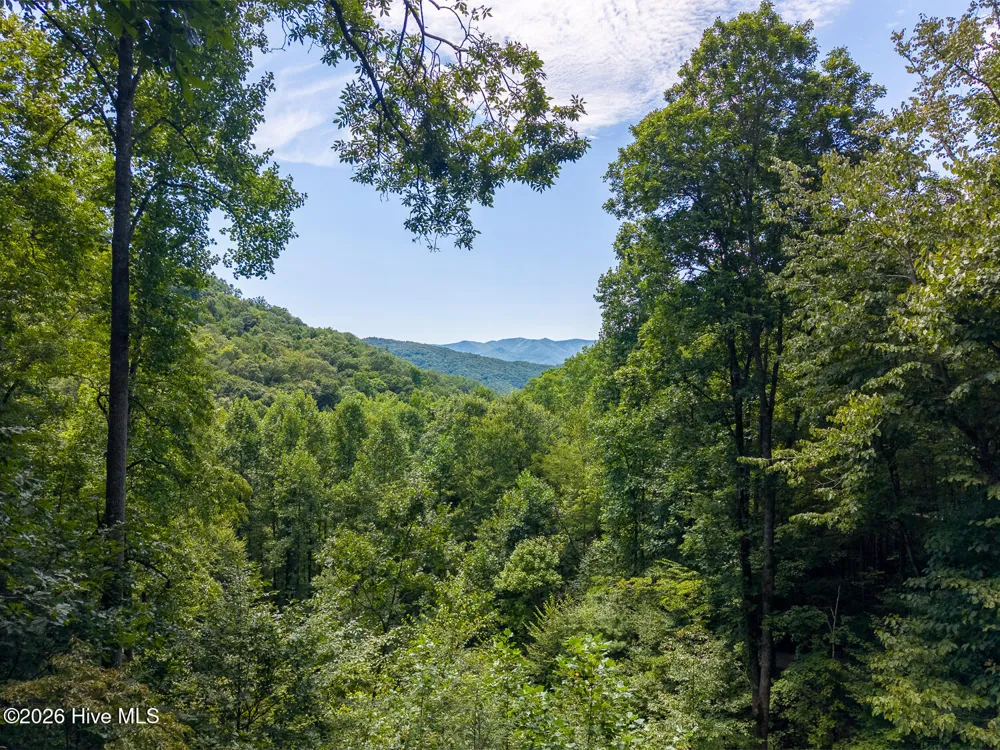 204 Mountain Laurel Drive Bryson City, NC 28713