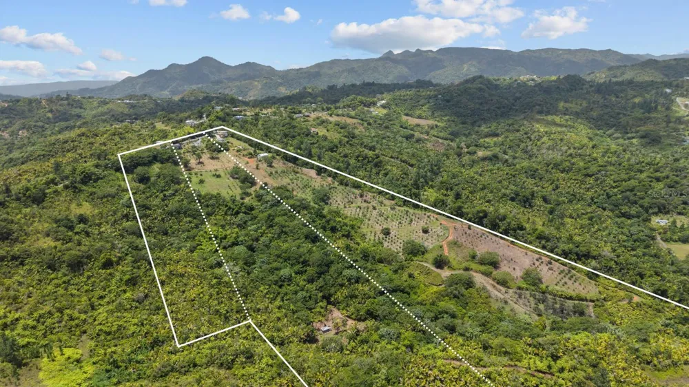 Carretera 143 KM 5.7 Utuado, PR 00641