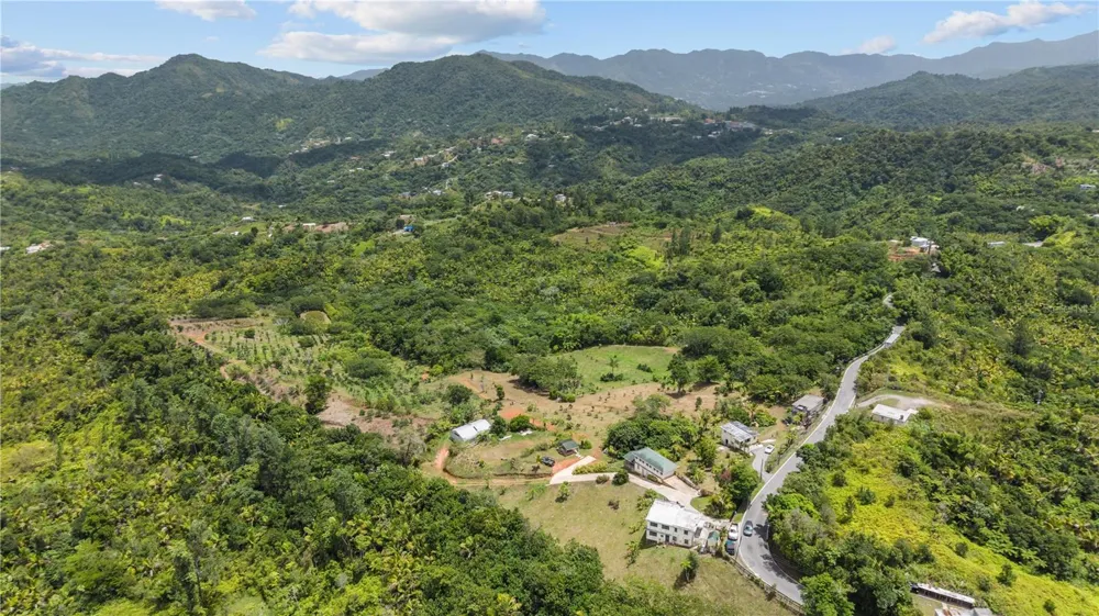Carretera 143 KM 5.7 Utuado, PR 00641