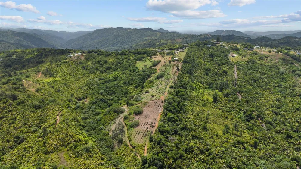 Carretera 143 KM 5.7 Utuado, PR 00641