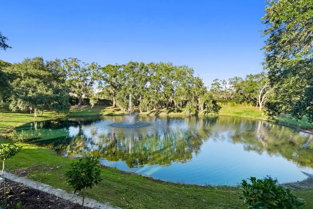 9725 CHESTNUT RIDGE DRIVE Windermere, FL 34786