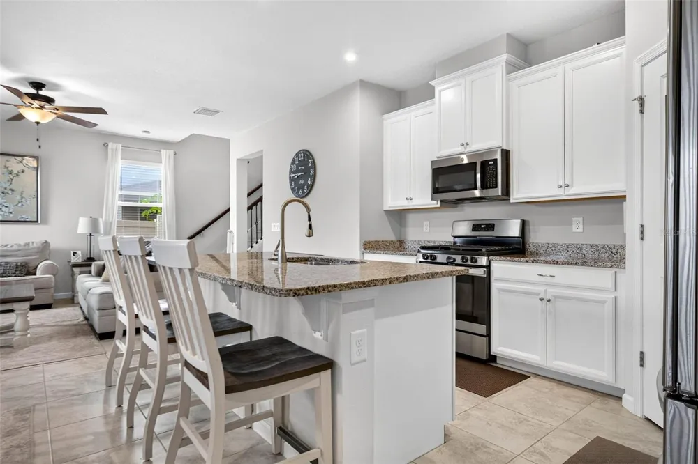 11618 GOLD DUST COURT Riverview, FL 33579