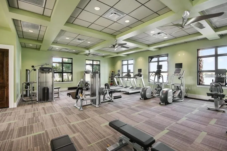 11618 GOLD DUST COURT Riverview, FL 33579