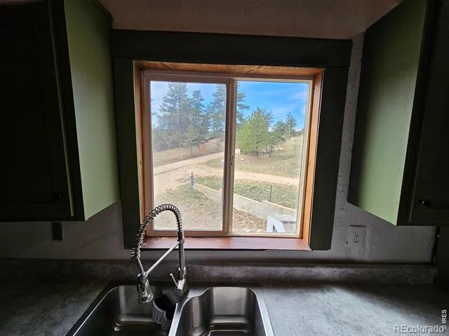 291 Palisade Mountain Drive Drake, CO 80515