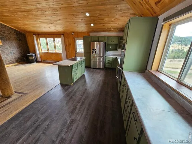 291 Palisade Mountain Drive Drake, CO 80515