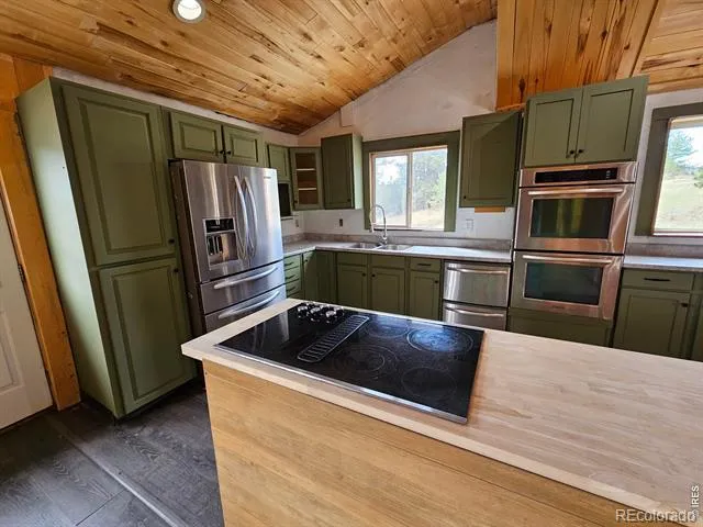 291 Palisade Mountain Drive Drake, CO 80515