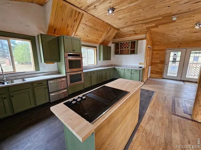 291 Palisade Mountain Drive Drake, CO 80515
