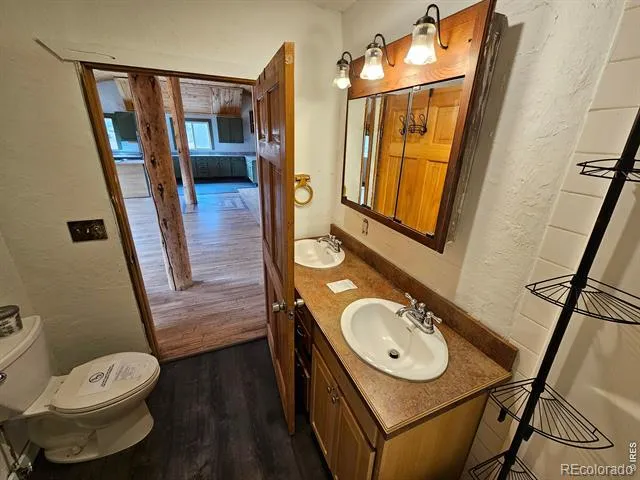 291 Palisade Mountain Drive Drake, CO 80515