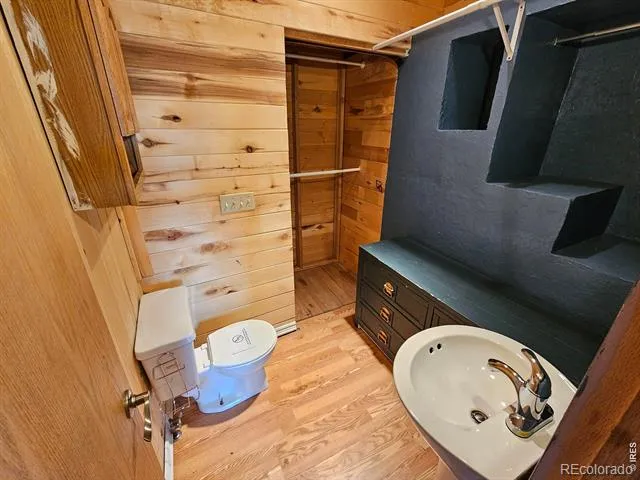 291 Palisade Mountain Drive Drake, CO 80515