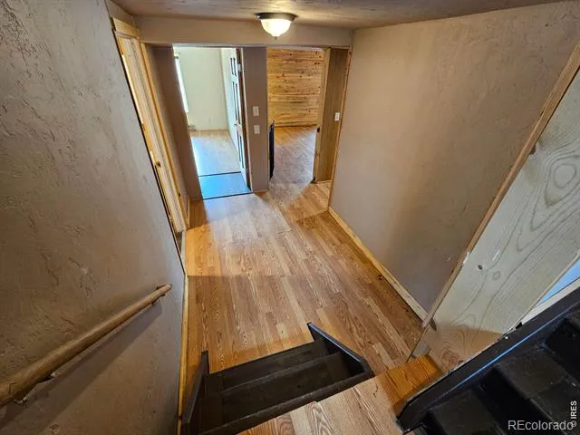 291 Palisade Mountain Drive Drake, CO 80515