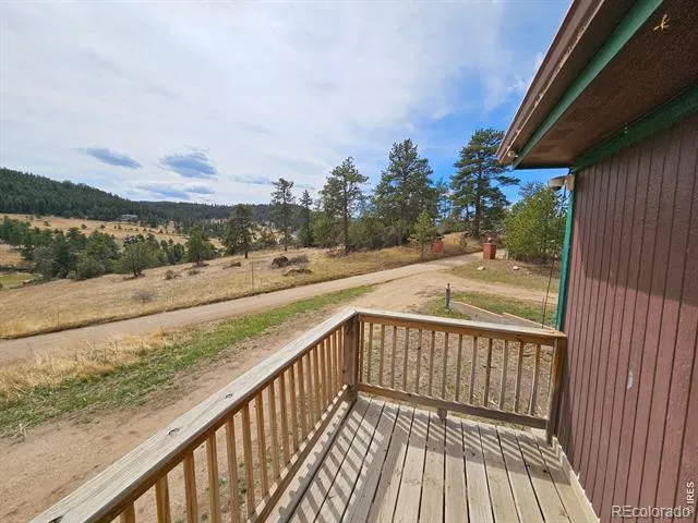 291 Palisade Mountain Drive Drake, CO 80515
