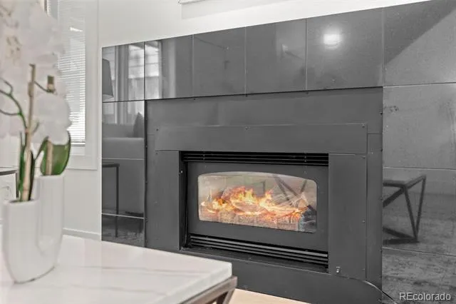 221 S Garfield Street #103 Denver, CO 80209