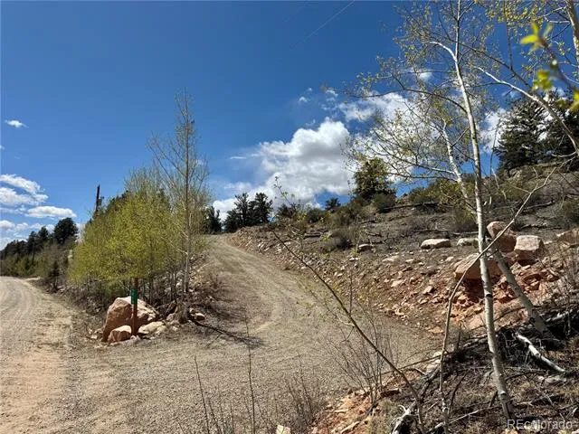 5013 Middle Fork Vista Fairplay, CO 80440