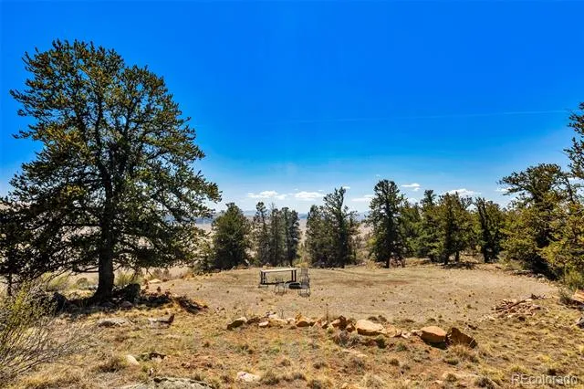 5013 Middle Fork Vista Fairplay, CO 80440