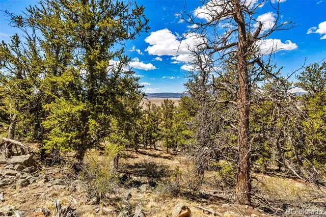 5013 Middle Fork Vista Fairplay, CO 80440