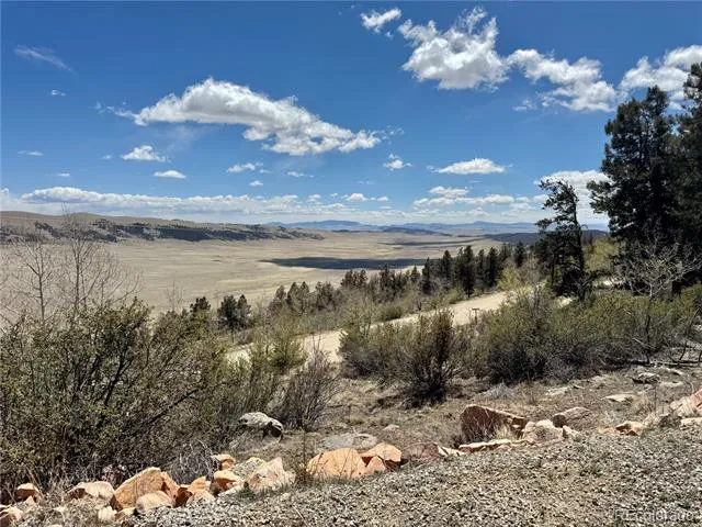 5013 Middle Fork Vista Fairplay, CO 80440