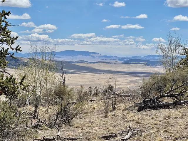 5013 Middle Fork Vista Fairplay, CO 80440