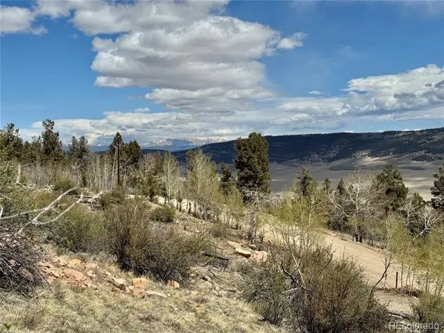 5013 Middle Fork Vista Fairplay, CO 80440