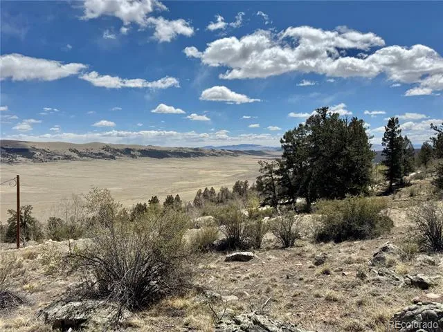 5013 Middle Fork Vista Fairplay, CO 80440