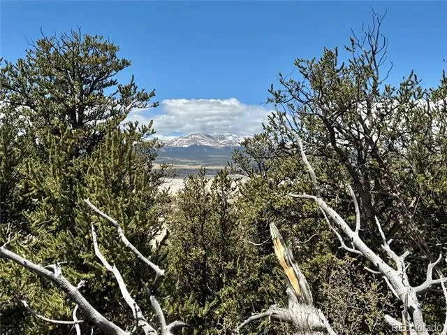 5013 Middle Fork Vista Fairplay, CO 80440