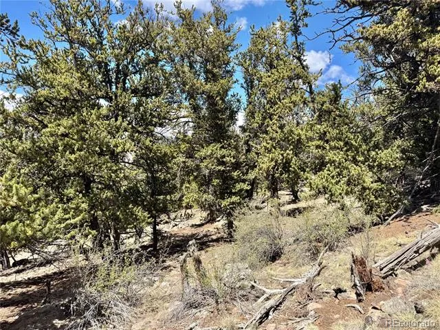5013 Middle Fork Vista Fairplay, CO 80440