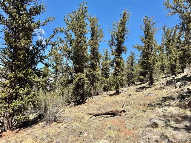 5013 Middle Fork Vista Fairplay, CO 80440