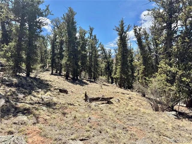 5013 Middle Fork Vista Fairplay, CO 80440