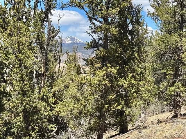 5013 Middle Fork Vista Fairplay, CO 80440