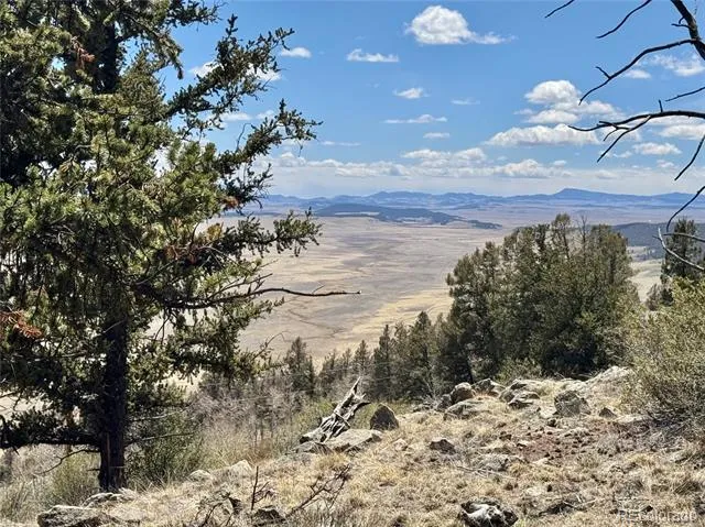 5013 Middle Fork Vista Fairplay, CO 80440