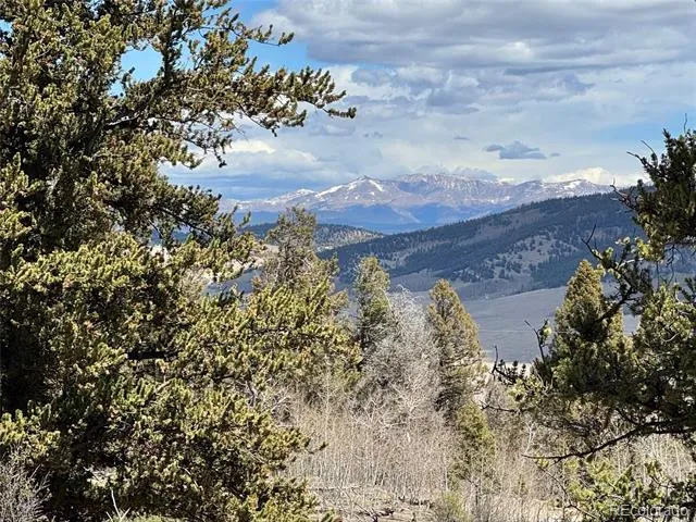 5013 Middle Fork Vista Fairplay, CO 80440
