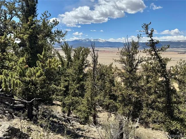 5013 Middle Fork Vista Fairplay, CO 80440
